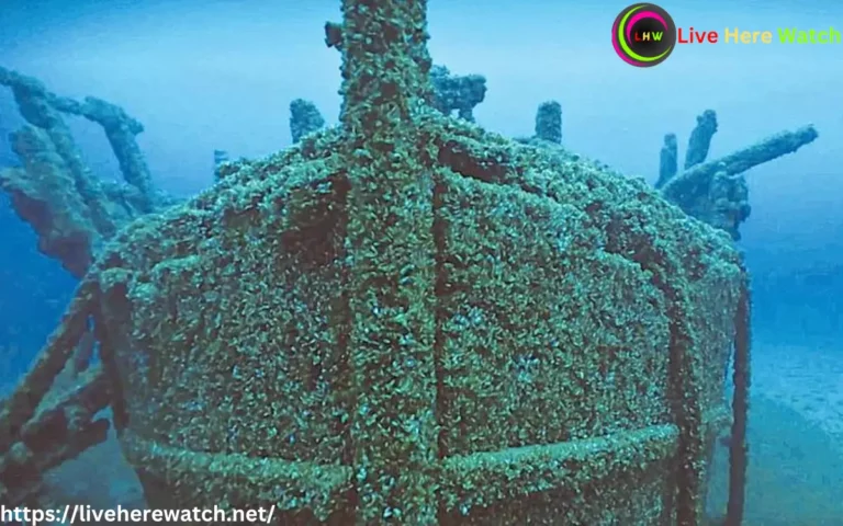 Looking for oysters, found a ship from 128 years ago
